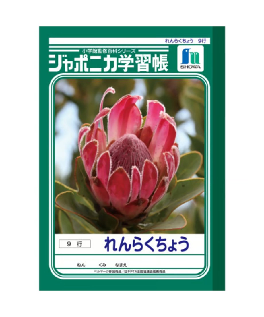 ショウワノート ジャポニカ学習帳 A5判  れんらくちょう 9行3冊パック